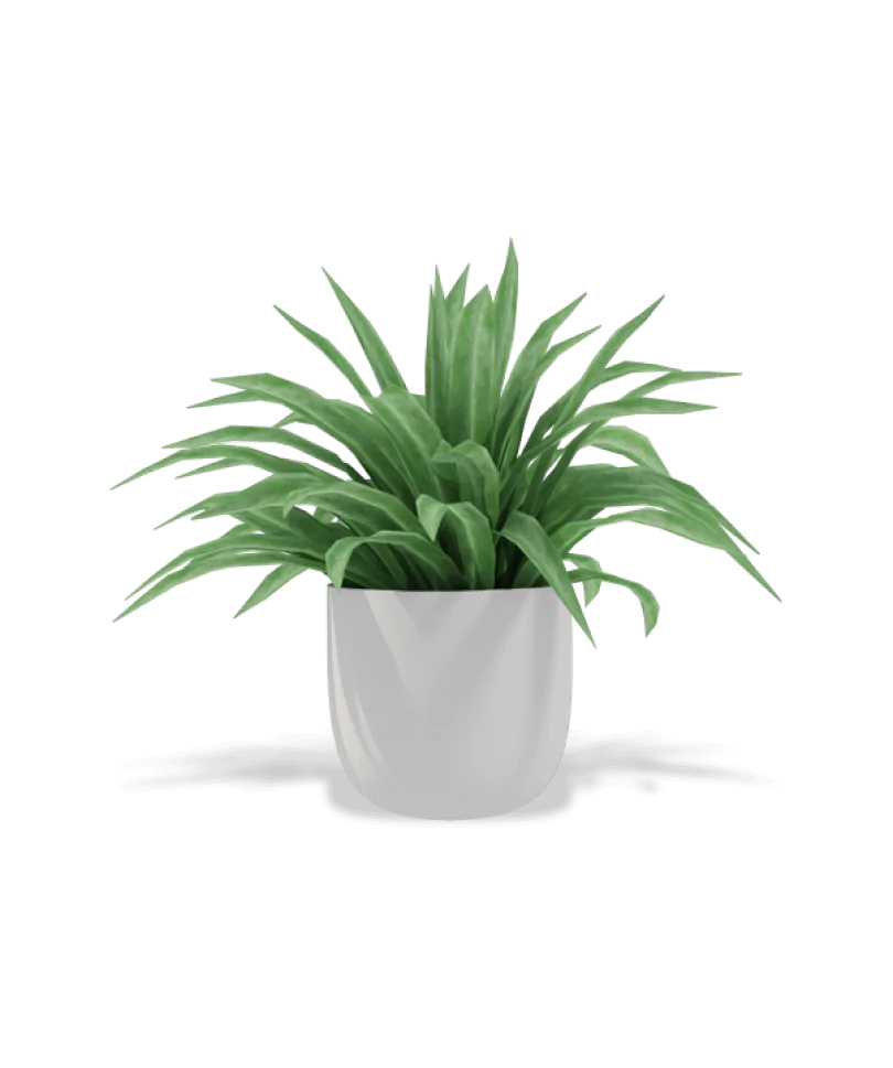 shop-bg-01